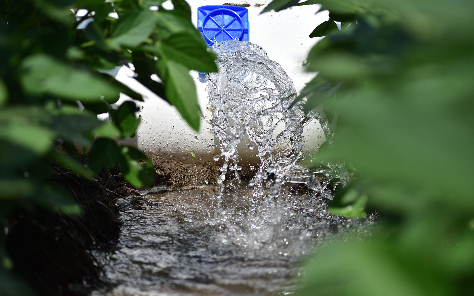water running through polypipe to irrigate crops